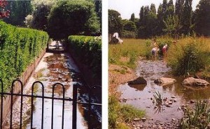 Happy Birthday, Chinbrook Meadows! (29th October 2007)