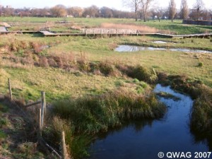 Walking in a wetland wonderland (1st February 2007)