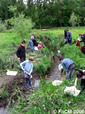 Children go dipping for mini-beasts in the Quaggy last year, at an event organised by the Friends of Chinbrook Meadows. An educational experience for the children that's also a lot of fun for all involved