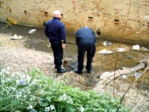 Shell shock! (24th April 2007)