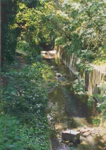 Quagg Ridge The River Quaggy | Quaggy Waterways Action Group