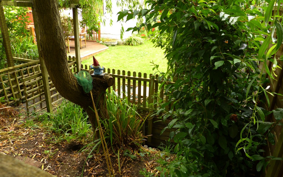 To the source of the Quaggy (2014)