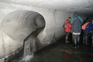 Caught on camera (2012)