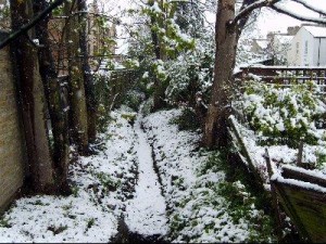 Going loopy in Ladywell (6th April 2008)