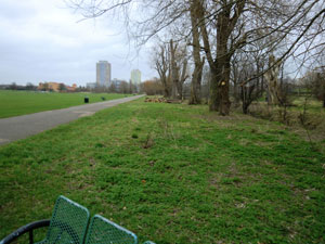 Currently, the main flow of the river through the park is in a culvert directly under the path