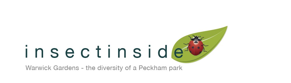 insectinside logo