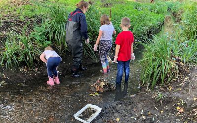 Get to know your local river