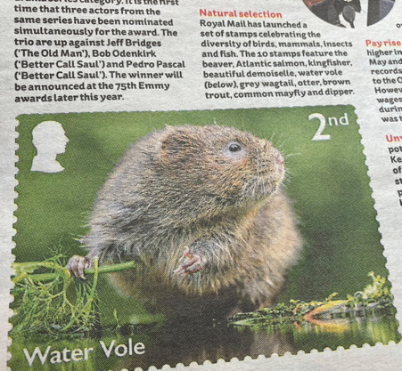 Wednesday 15th November (Online) : Will Ratty return to London’s rivers?