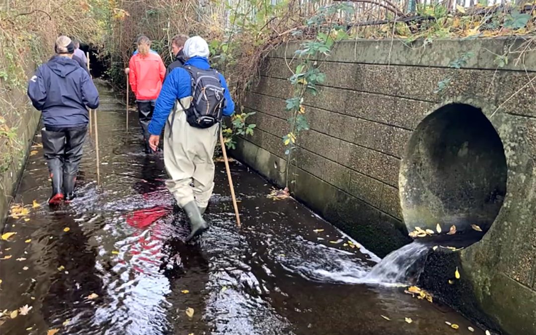 Water pollution: Outfall Safaris and Riverfly Monitoring