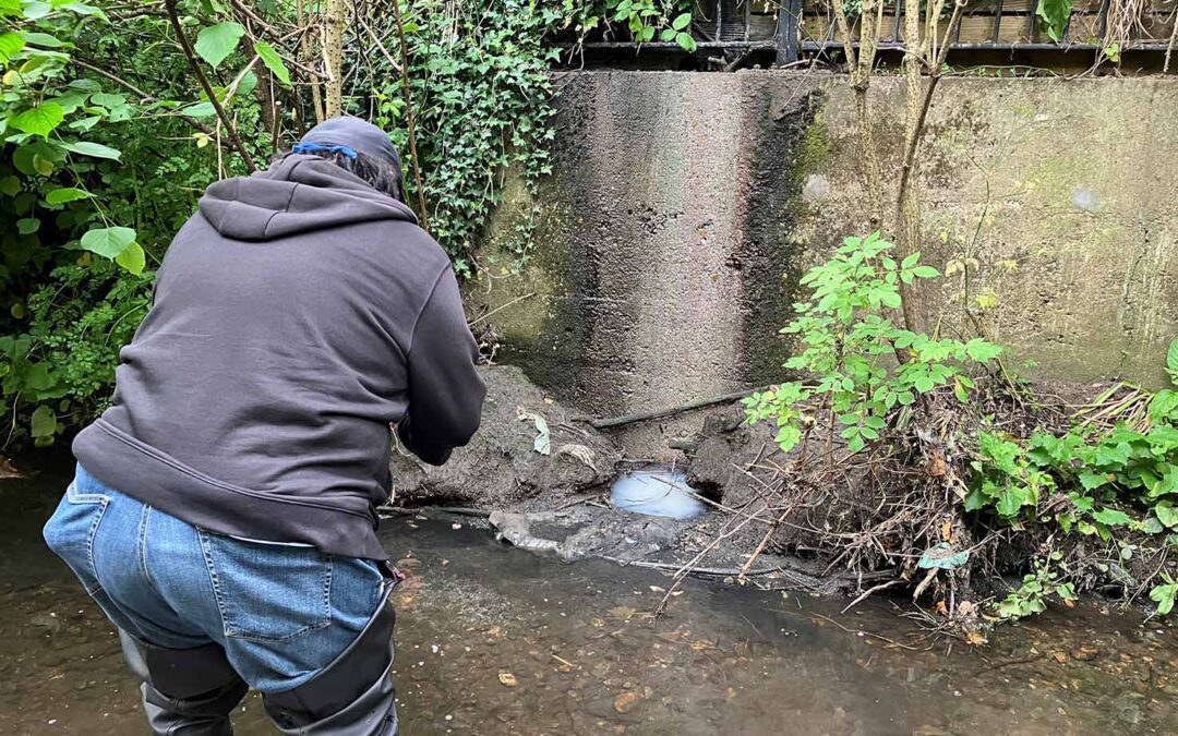 Pollution saga – 1 house, 1 river, 4 years