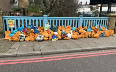 200+ bags of medical waste removed by QWAG